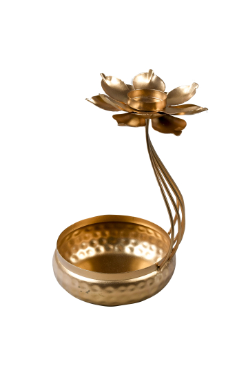 Lotus Design Urli