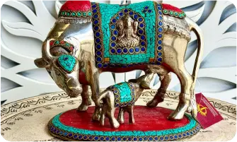 Jodhpur Designs